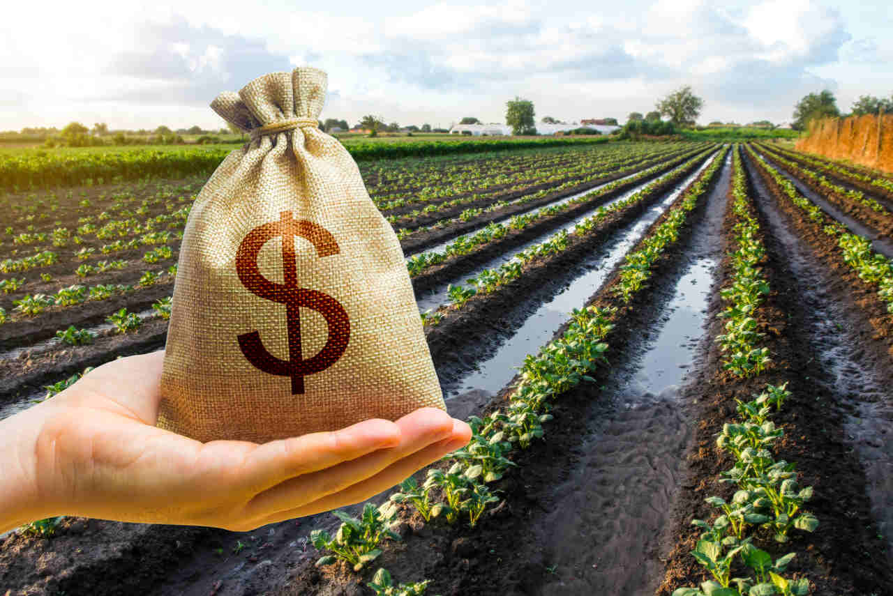 BNDES Libera R$ 52,3 Bilhões para o Agro em 2024 Investimentos Aceleram Crescimento e Sustentabilidade